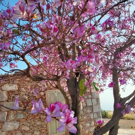 Refugio Del Silencio, Adeje, Wi-fi Шале